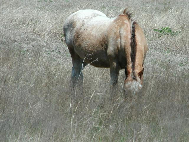 Georgetown, Texas - April 2003