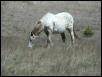 Georgetown, Texas - April 2003