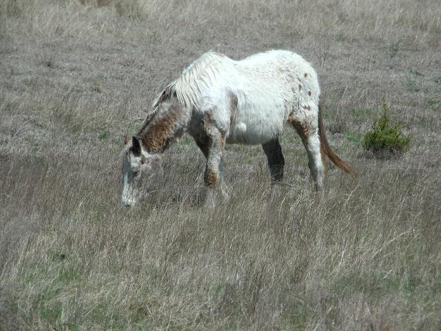 Georgetown, Texas - April 2003