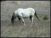 Georgetown, Texas - April 2003