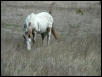 Georgetown, Texas - April 2003