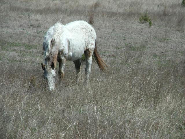 Georgetown, Texas - April 2003