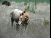 Georgetown, Texas - April 2003