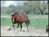 Georgetown, Texas - April 2003