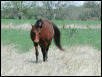 Georgetown, Texas - April 2003
