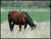 Georgetown, Texas - April 2003