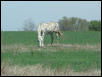 Georgetown, Texas - April 2003