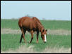 Georgetown, Texas - April 2003