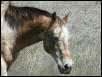 Georgetown, Texas - April 2003