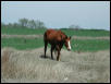 Georgetown, Texas - April 2003