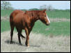 Georgetown, Texas - April 2003