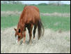 Georgetown, Texas - April 2003