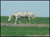 Georgetown, Texas - April 2003