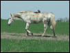 Georgetown, Texas - April 2003