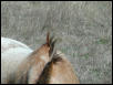 Georgetown, Texas - April 2003