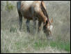 Georgetown, Texas - April 2003