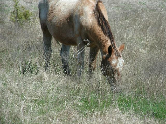 Georgetown, Texas - April 2003