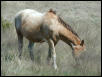Georgetown, Texas - April 2003