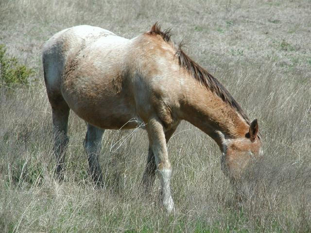Georgetown, Texas - April 2003