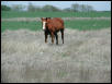 Georgetown, Texas - April 2003