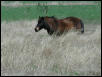 Georgetown, Texas - April 2003