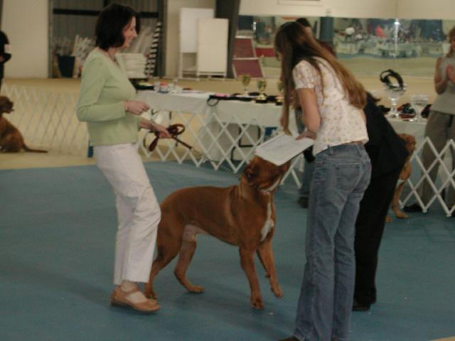 Dogue De Bordeaux 2003 Nationals