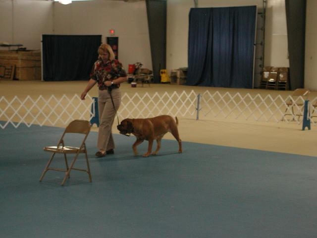 Dogue De Bordeaux 2003 Nationals