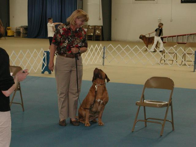 Dogue De Bordeaux 2003 Nationals