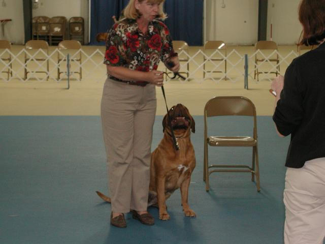 Dogue De Bordeaux 2003 Nationals