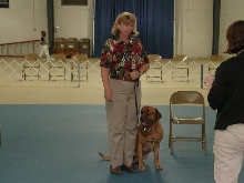Dogue De Bordeaux 2003 Nationals
