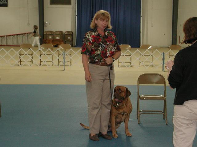 Dogue De Bordeaux 2003 Nationals