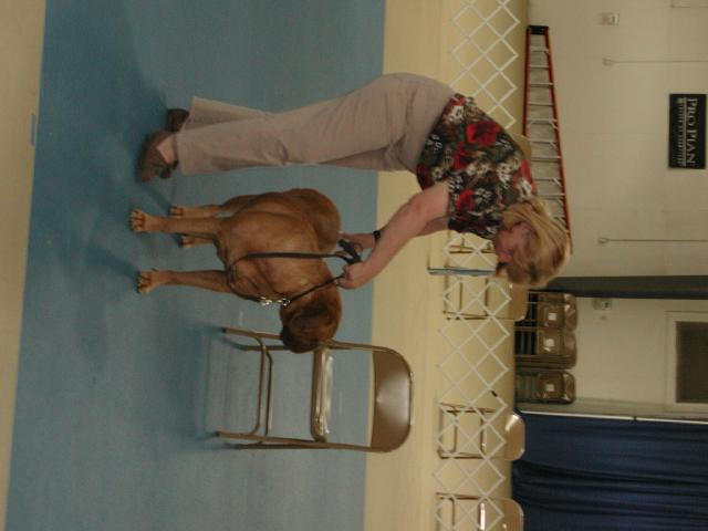 Dogue De Bordeaux 2003 Nationals