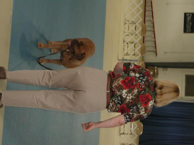 Dogue De Bordeaux 2003 Nationals