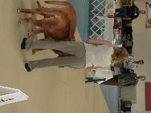 Dogue De Bordeaux 2003 Nationals