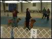 Dogue De Bordeaux 2003 Nationals