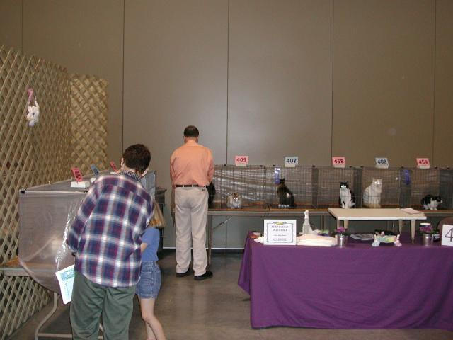 Austin Cat Fanciers 2003 show