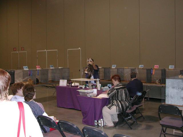 Austin Cat Fanciers 2003 show