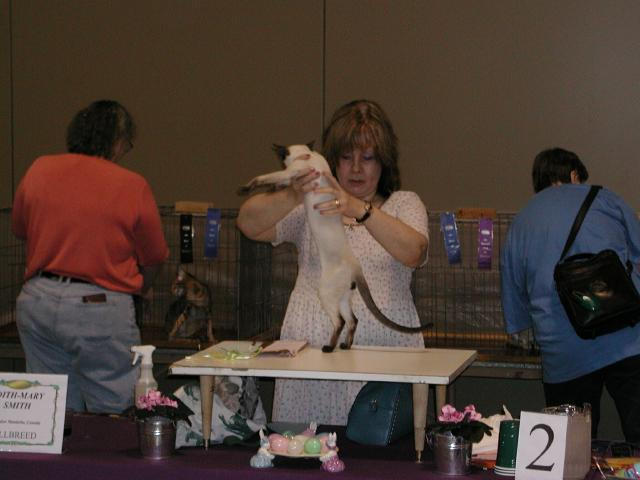 Austin Cat Fanciers 2003 show