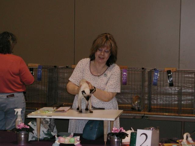 Austin Cat Fanciers 2003 show