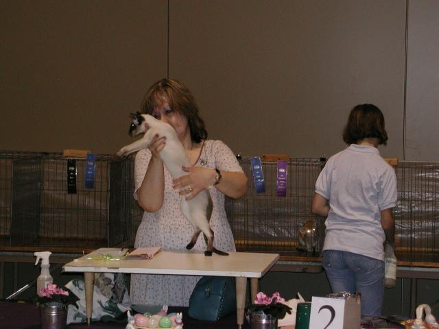 Austin Cat Fanciers 2003 show