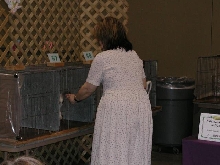 Austin Cat Fanciers 2003 show
