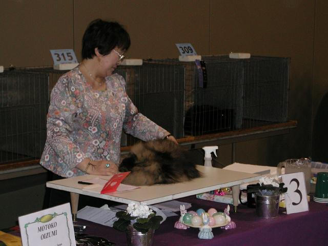 Austin Cat Fanciers 2003 show