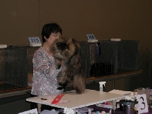Austin Cat Fanciers 2003 show