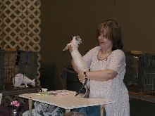 Austin Cat Fanciers 2003 show