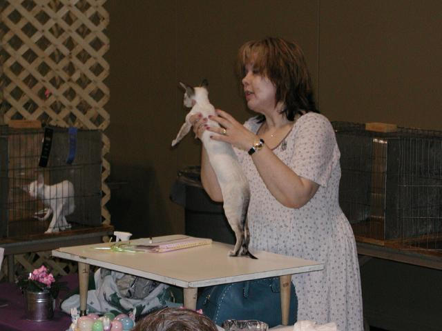 Austin Cat Fanciers 2003 show