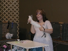 Austin Cat Fanciers 2003 show