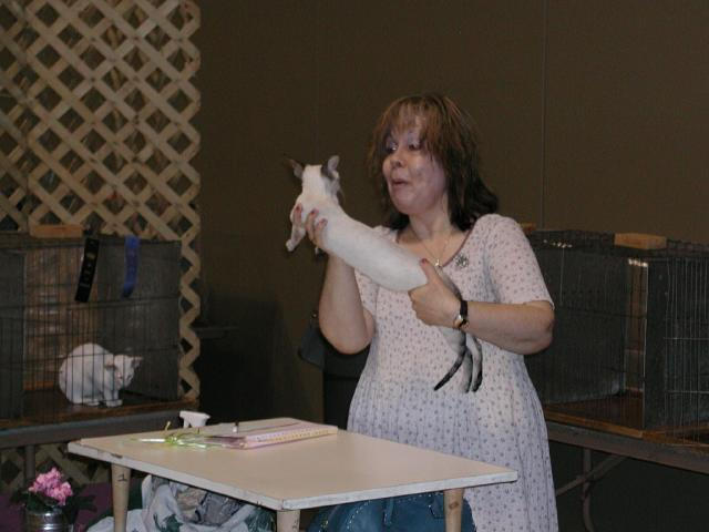 Austin Cat Fanciers 2003 show