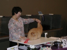 Austin Cat Fanciers 2003 show