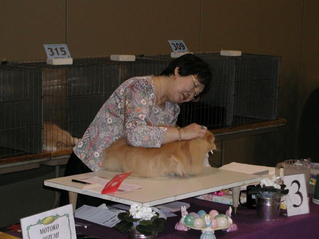 Austin Cat Fanciers 2003 show