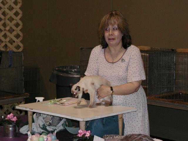 Austin Cat Fanciers 2003 show